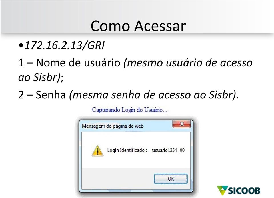 de acesso ao Sisbr); 2 Senha