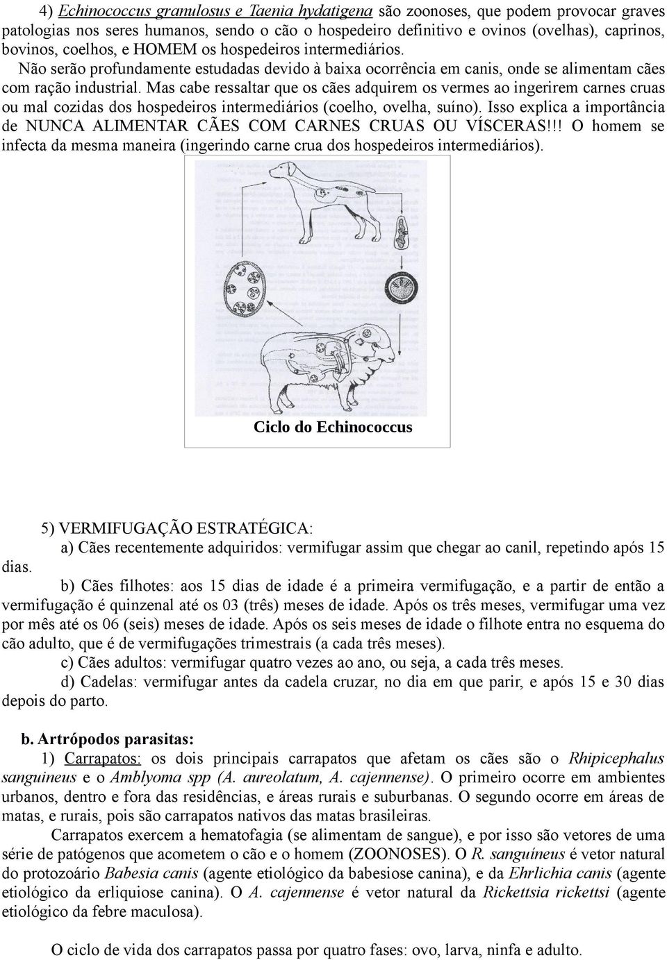 Mas cabe ressaltar que os cães adquirem os vermes ao ingerirem carnes cruas ou mal cozidas dos hospedeiros intermediários (coelho, ovelha, suíno).