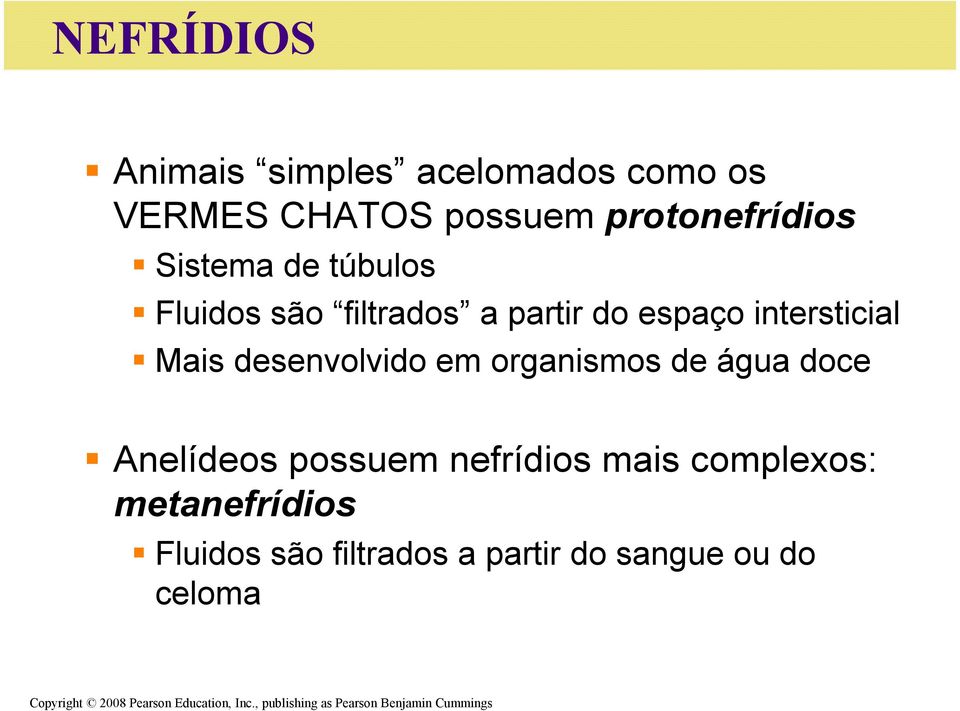 água doce Anelídeos possuem nefrídios mais complexos: metanefrídios Fluidos são filtrados a