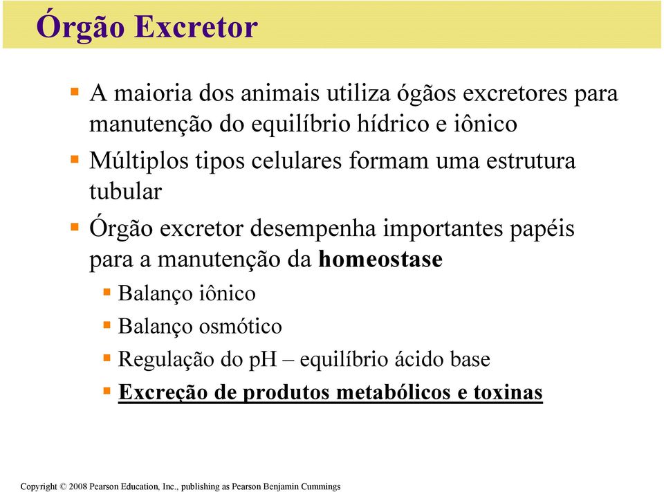 manutenção da homeostase Balanço iônico Balanço osmótico Regulação do ph equilíbrio ácido base Excreção de