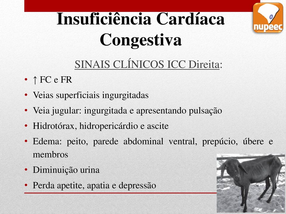 Hidrotórax, hidropericárdio e ascite Edema: peito, parede abdominal ventral,