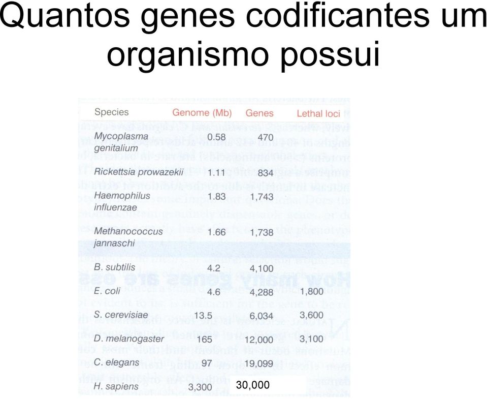 um organismo