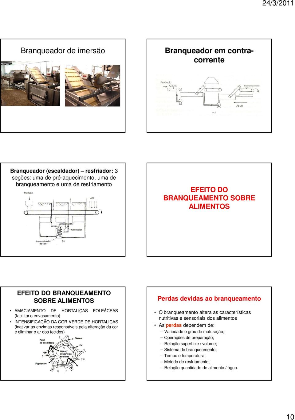 responsáveis pela alteração da cor e eliminar o ar dos tecidos) Perdas devidas ao branqueamento O branqueamento altera as características nutritivas e sensoriais dos alimentos As perdas