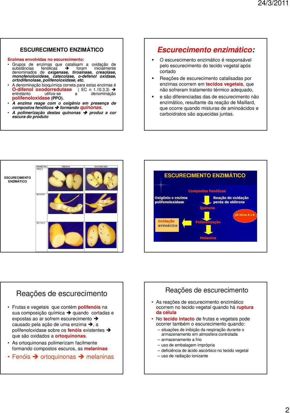 3) entretanto utiliza-se a denominação polifenoloxidase (PPO). A enzima reage com o oxigênio em presença de compostos fenólicos formando quinonas.