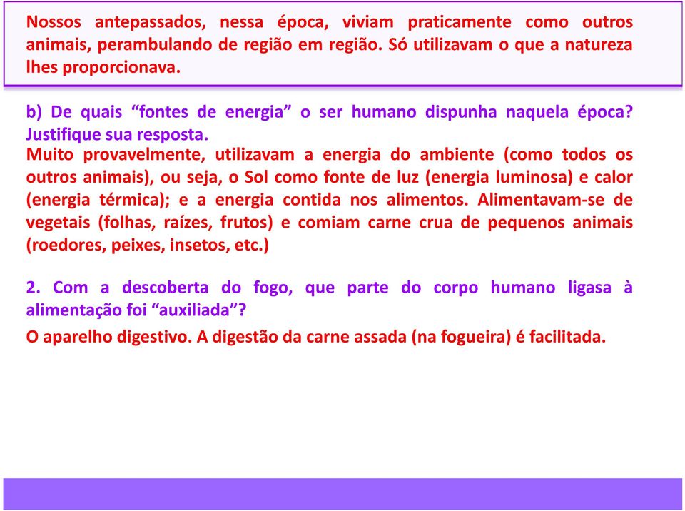 Muito provavelmente, utilizavam a energia do ambiente (como todos os outros animais), ou seja, o Sol como fonte de luz (energia luminosa) e calor (energia térmica); e a energia contida