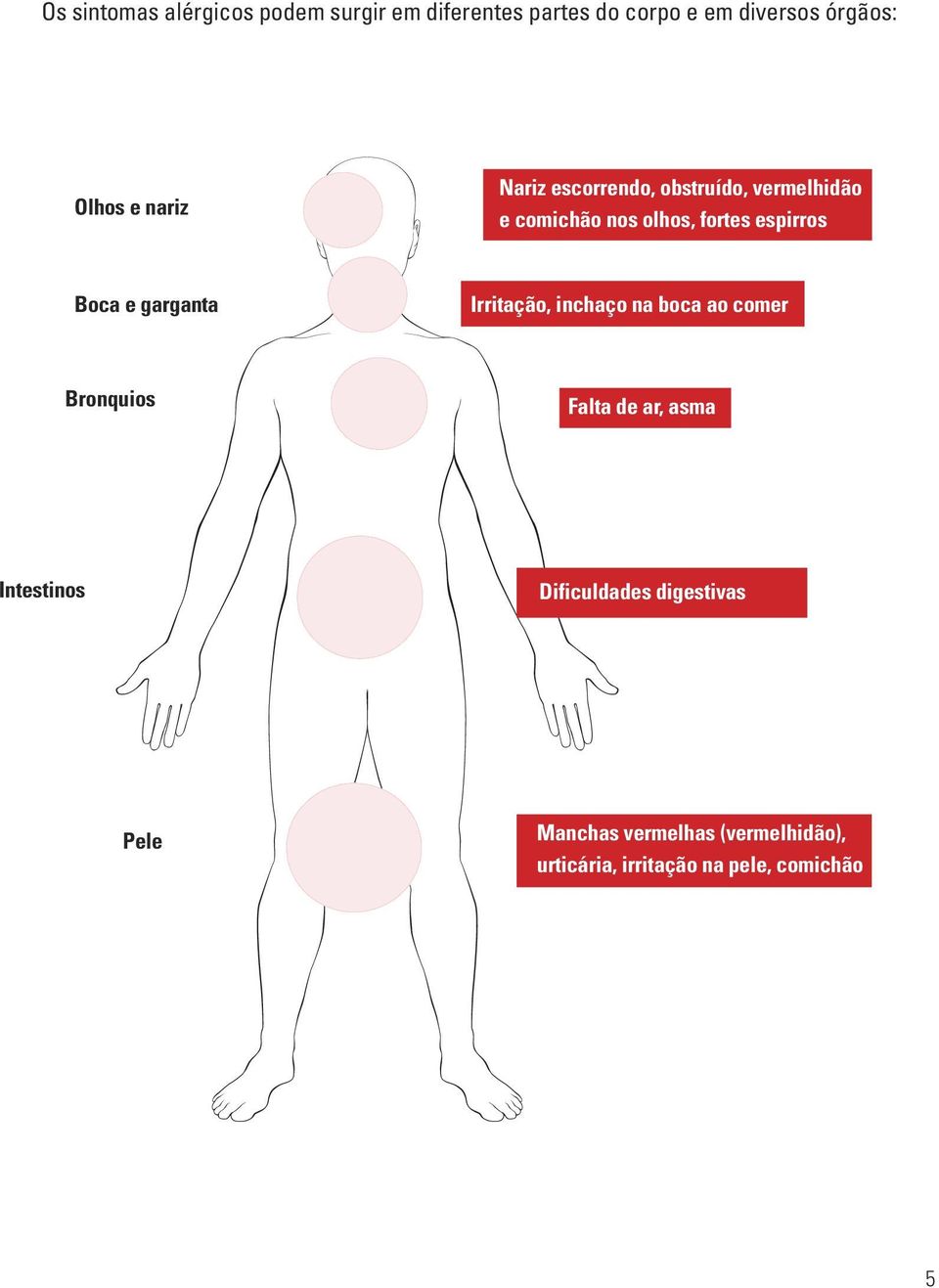 garganta Irritação, inchaço na boca ao comer Bronquios Falta de ar, asma Intestinos