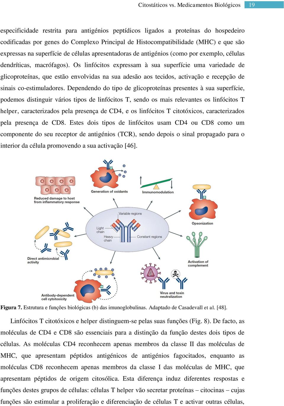 Os linfócitos expressam à sua superfície uma variedade de glicoproteínas, que estão envolvidas na sua adesão aos tecidos, activação e recepção de sinais co-estimuladores.