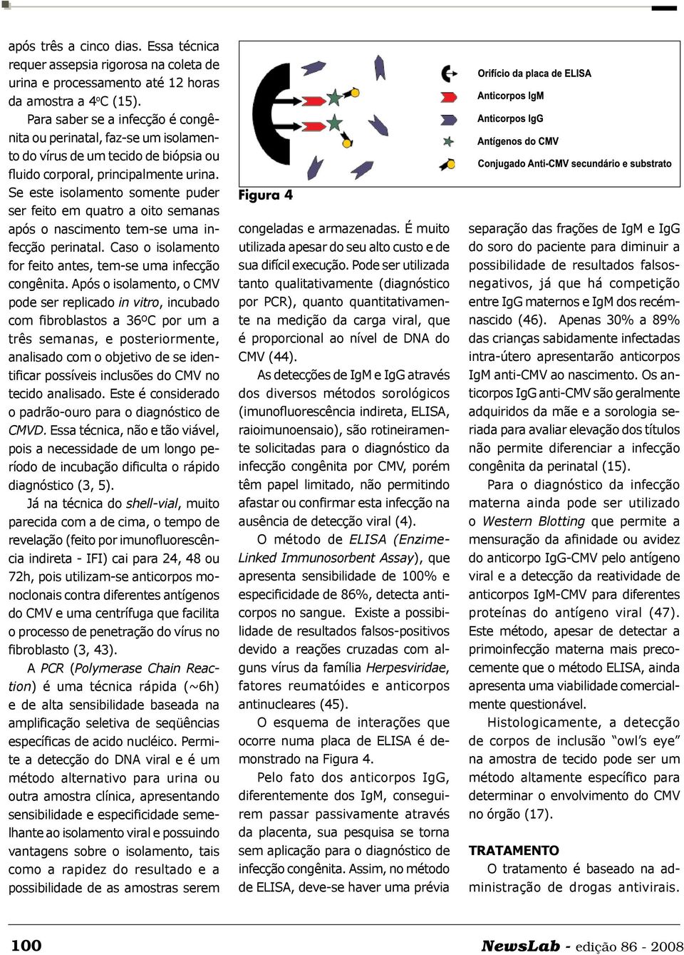 Se este isolamento somente puder ser feito em quatro a oito semanas após o nascimento tem-se uma infecção perinatal. Caso o isolamento for feito antes, tem-se uma infecção congênita.