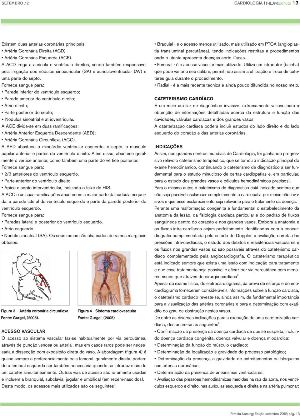 Fornece sangue para: Parede inferior do ventrículo esquerdo; Parede anterior do ventrículo direito; Átrio direito; Parte posterior do septo; Nodulos sinoatrial e atrioventricular.