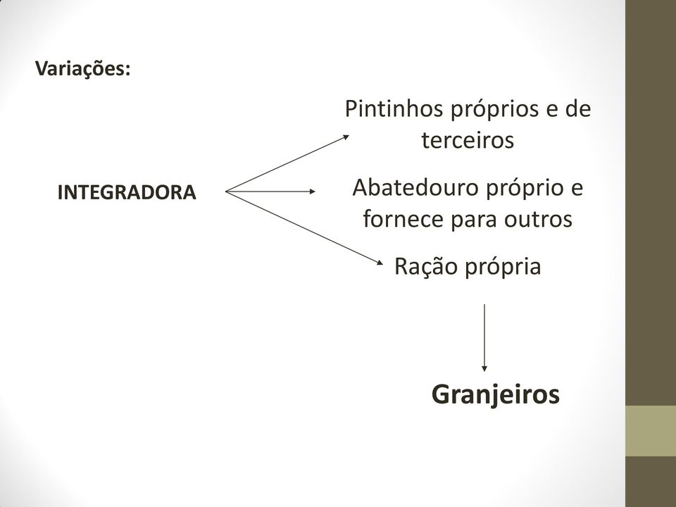 terceiros Abatedouro próprio e