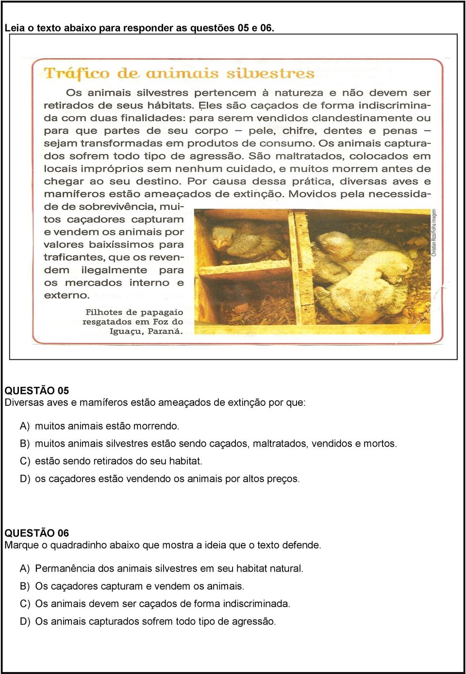 B) muitos animais silvestres estão sendo caçados, maltratados, vendidos e mortos. C) estão sendo retirados do seu habitat.