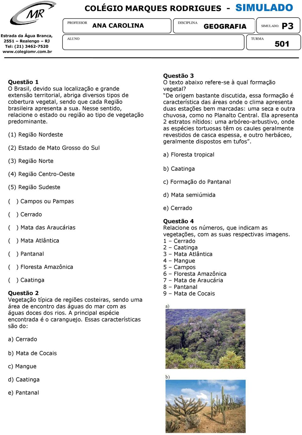 sendo que cada Região brasileira apresenta a sua. Nesse sentido, relacione o estado ou região ao tipo de vegetação predominante.