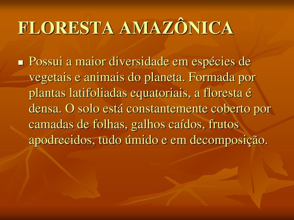 Formada por plantas latifoliadas equatoriais, a floresta é densa.