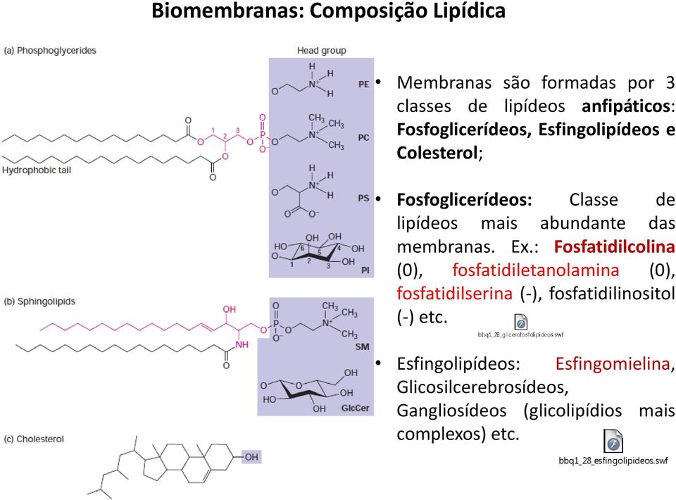 membranas. Ex.