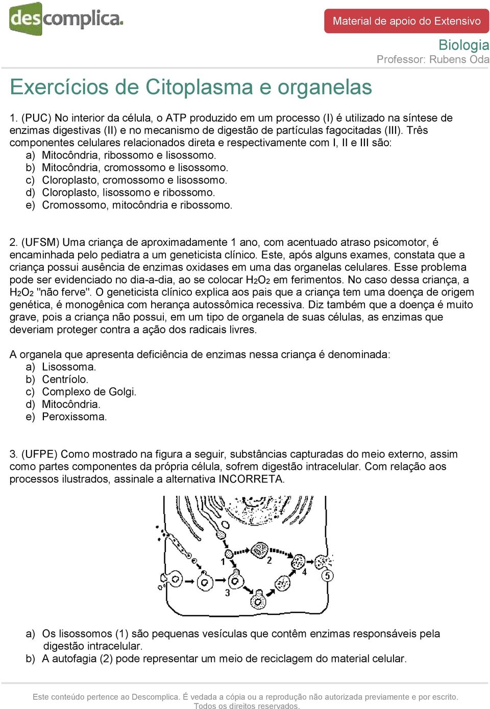 Três componentes celulares relacionados direta e respectivamente com I, II e III são: a) Mitocôndria, ribossomo e lisossomo. b) Mitocôndria, cromossomo e lisossomo.