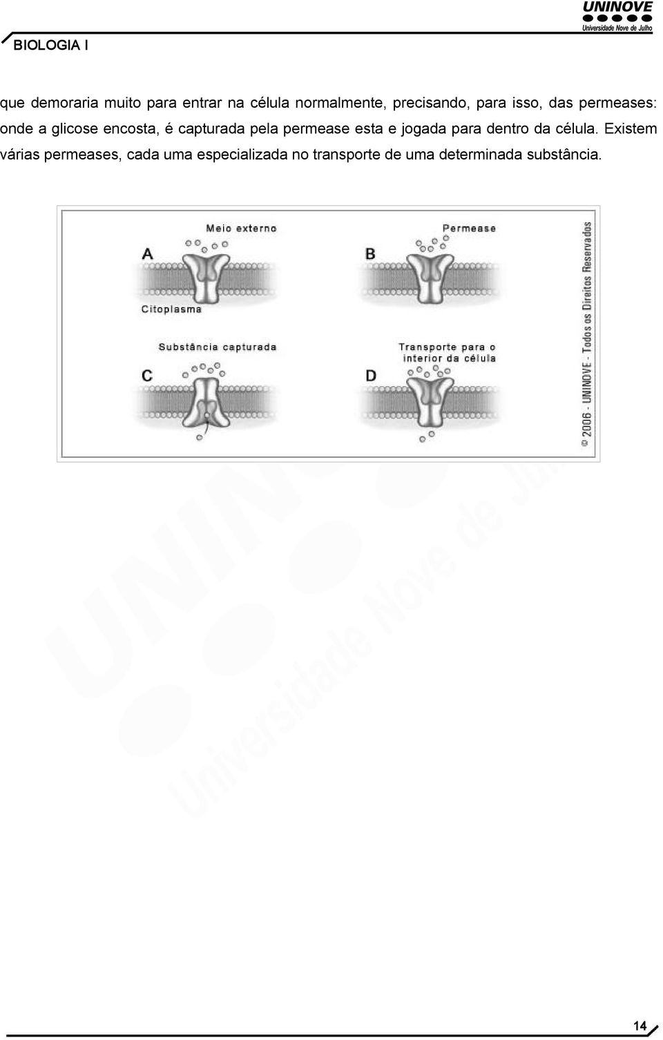 permease esta e jogada para dentro da célula.