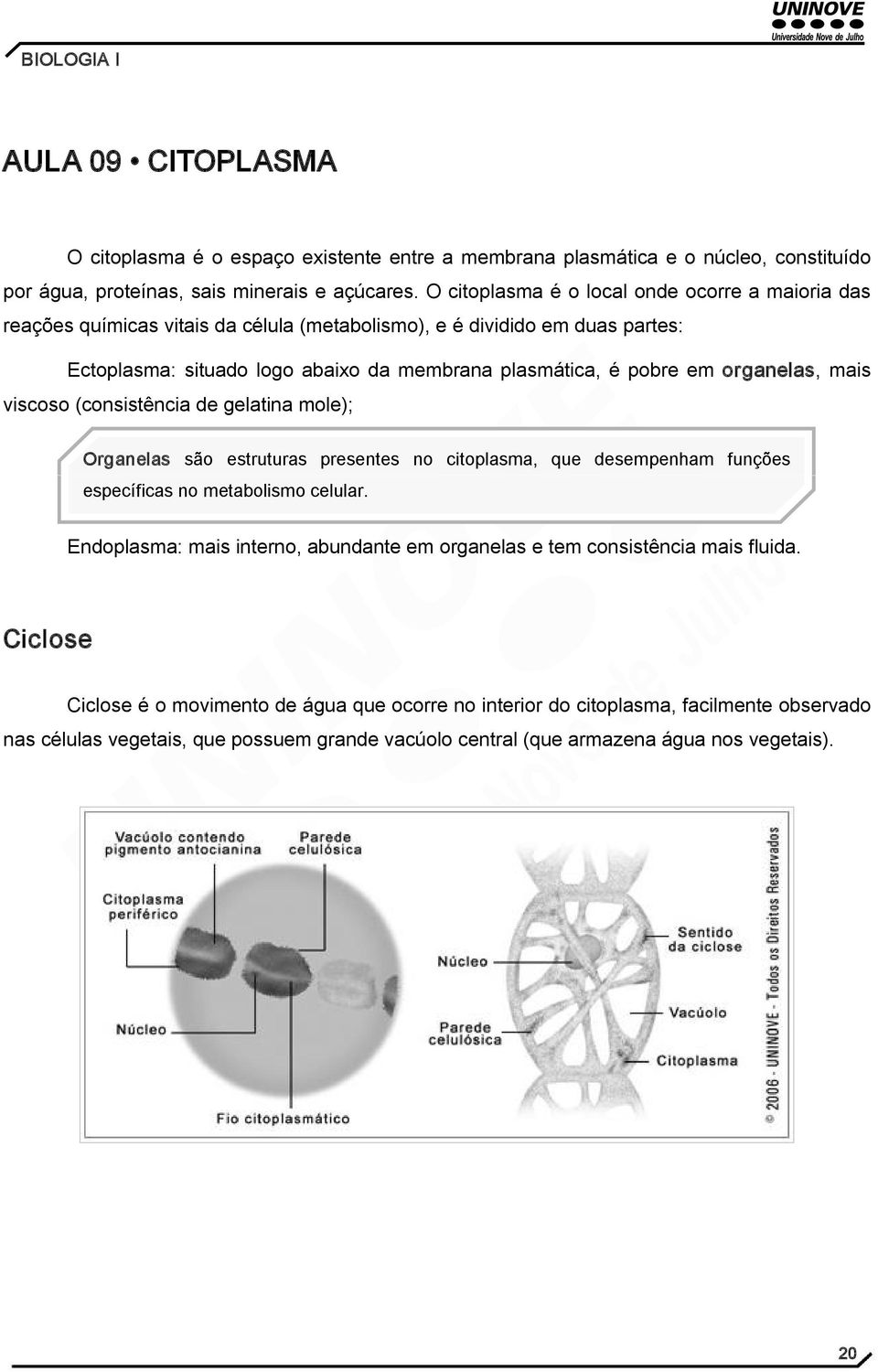 organelas, mais viscoso (consistência de gelatina mole); Organelas são estruturas presentes no citoplasma, que desempenham funções específicas no metabolismo celular.