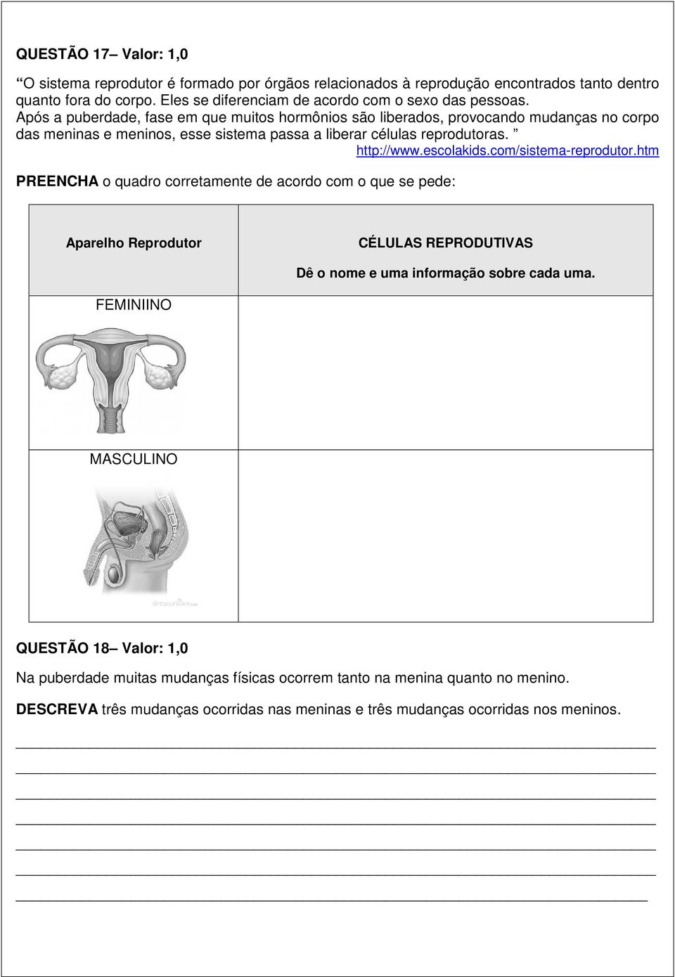 Após a puberdade, fase em que muitos hormônios são liberados, provocando mudanças no corpo das meninas e meninos, esse sistema passa a liberar células reprodutoras. http://www.escolakids.