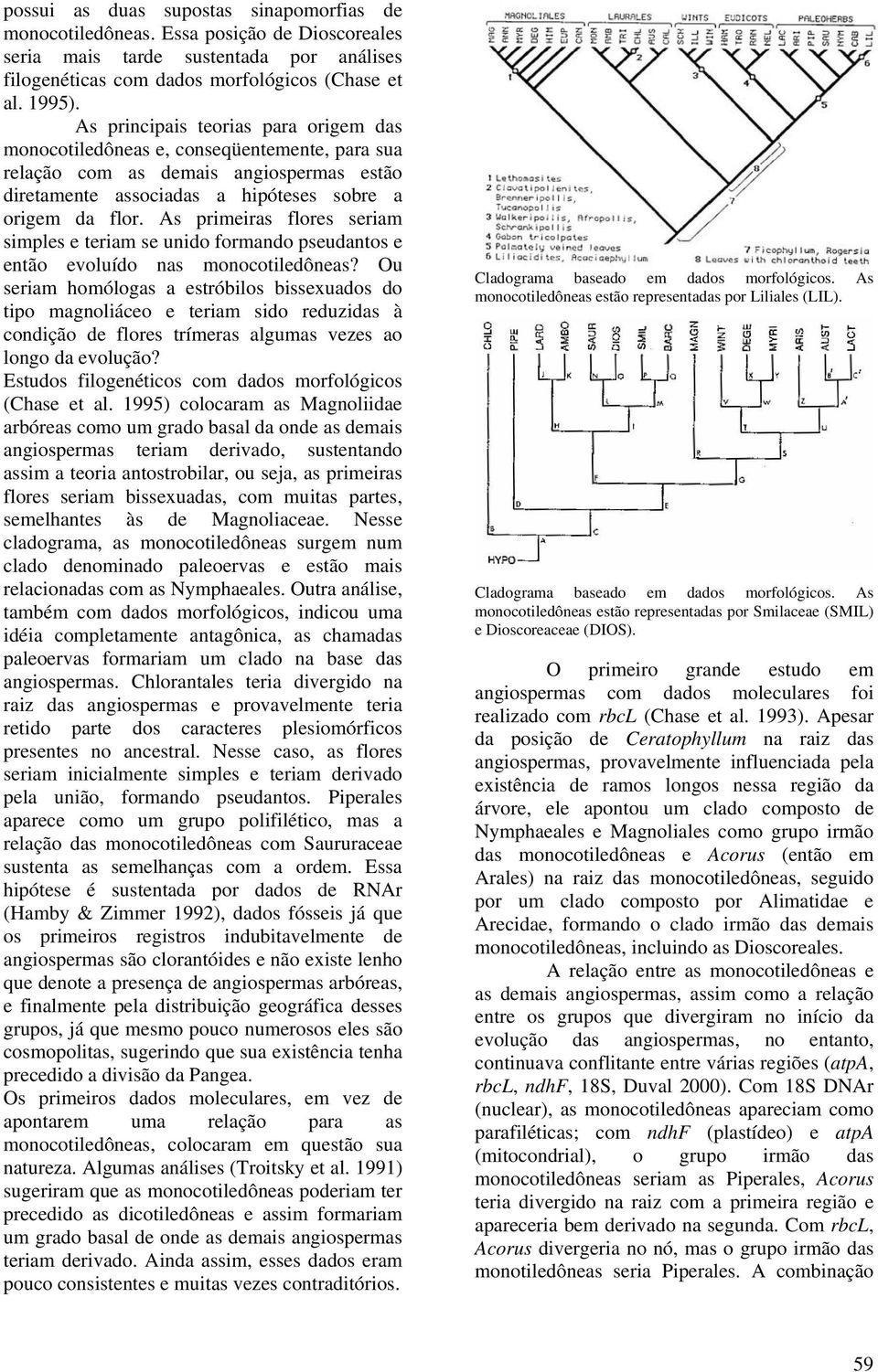 As primeiras flores seriam simples e teriam se unido formando pseudantos e então evoluído nas monocotiledôneas?