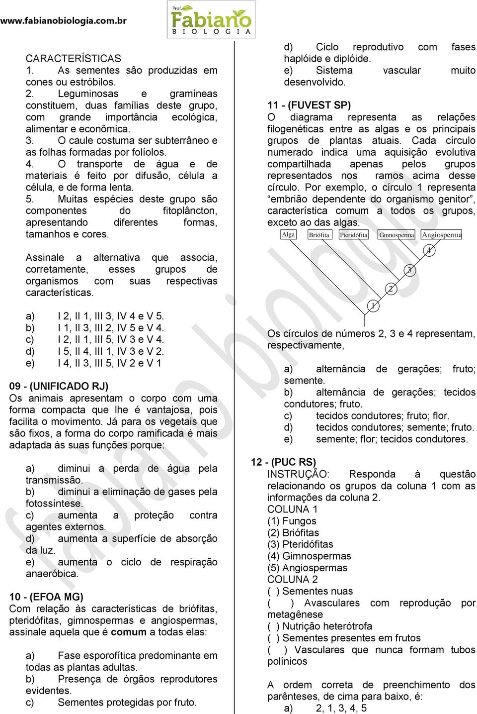 Muitas espécies deste grupo são componentes do fitoplâncton, apresentando diferentes formas, tamanhos e cores.