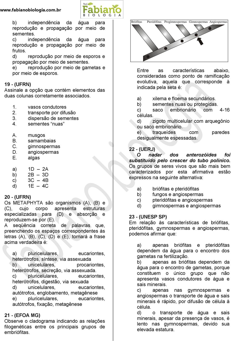 19 - (UFRN) Assinale a opção que contém elementos das duas colunas corretamente associados. 1. vasos condutores 2. transporte por difusão 3. dispersão de sementes 4. sementes nuas A. musgos B.