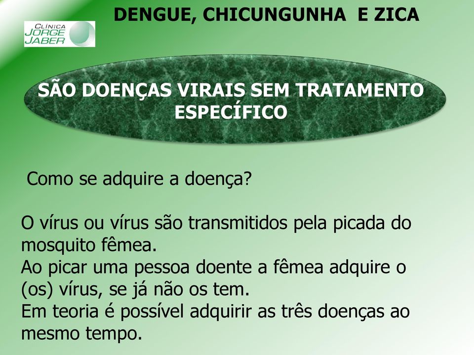 O vírus ou vírus são transmitidos pela picada do mosquito fêmea.