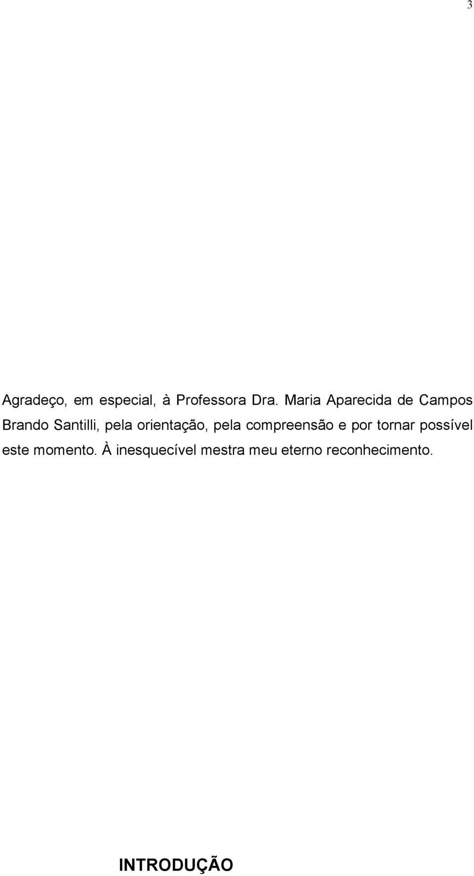 orientação, pela compreensão e por tornar possível