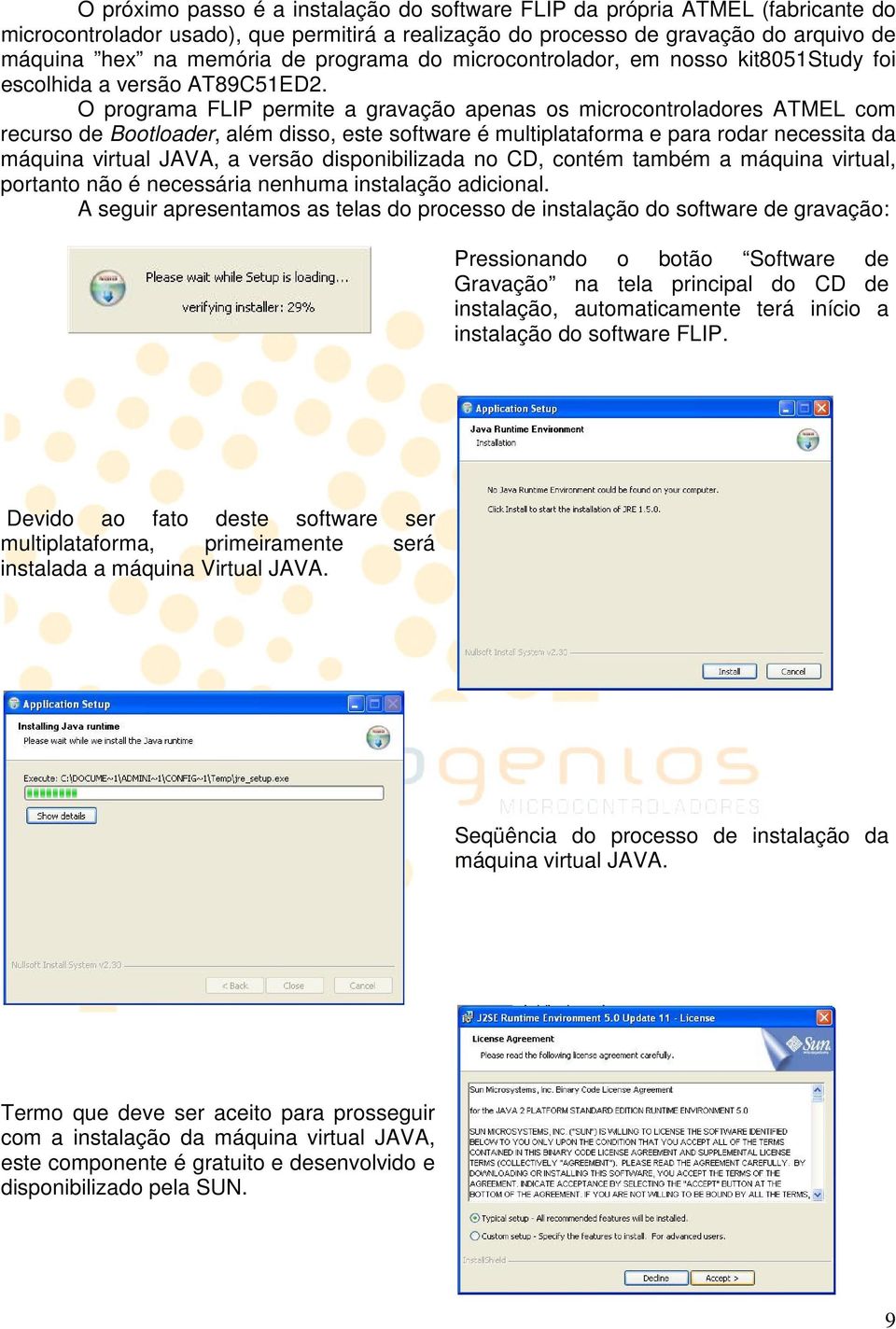 O programa FLIP permite a gravação apenas os microcontroladores ATMEL com recurso de Bootloader, além disso, este software é multiplataforma e para rodar necessita da máquina virtual JAVA, a versão