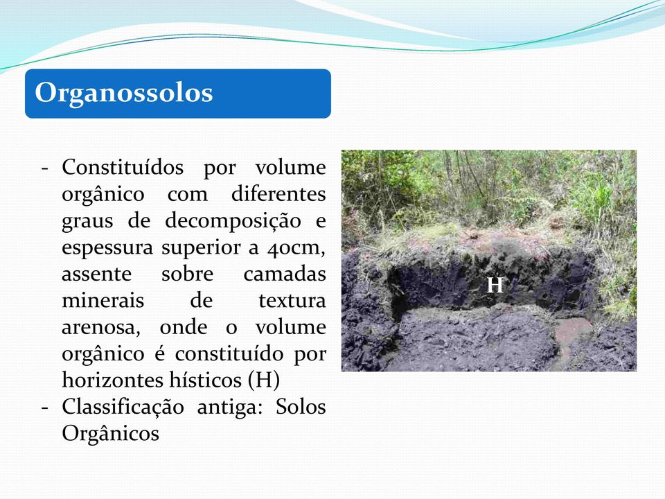 camadas minerais de textura arenosa, onde o volume orgânico é