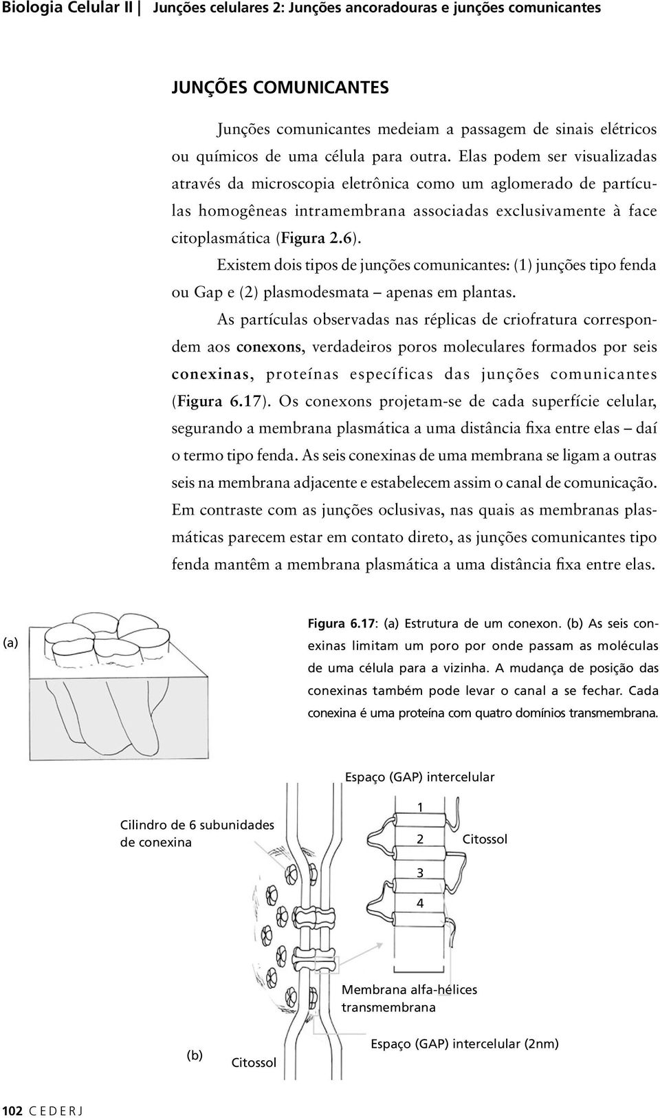 Existem dois tipos de junções comunicantes: (1) junções tipo fenda ou Gap e (2) plasmodesmata apenas em plantas.