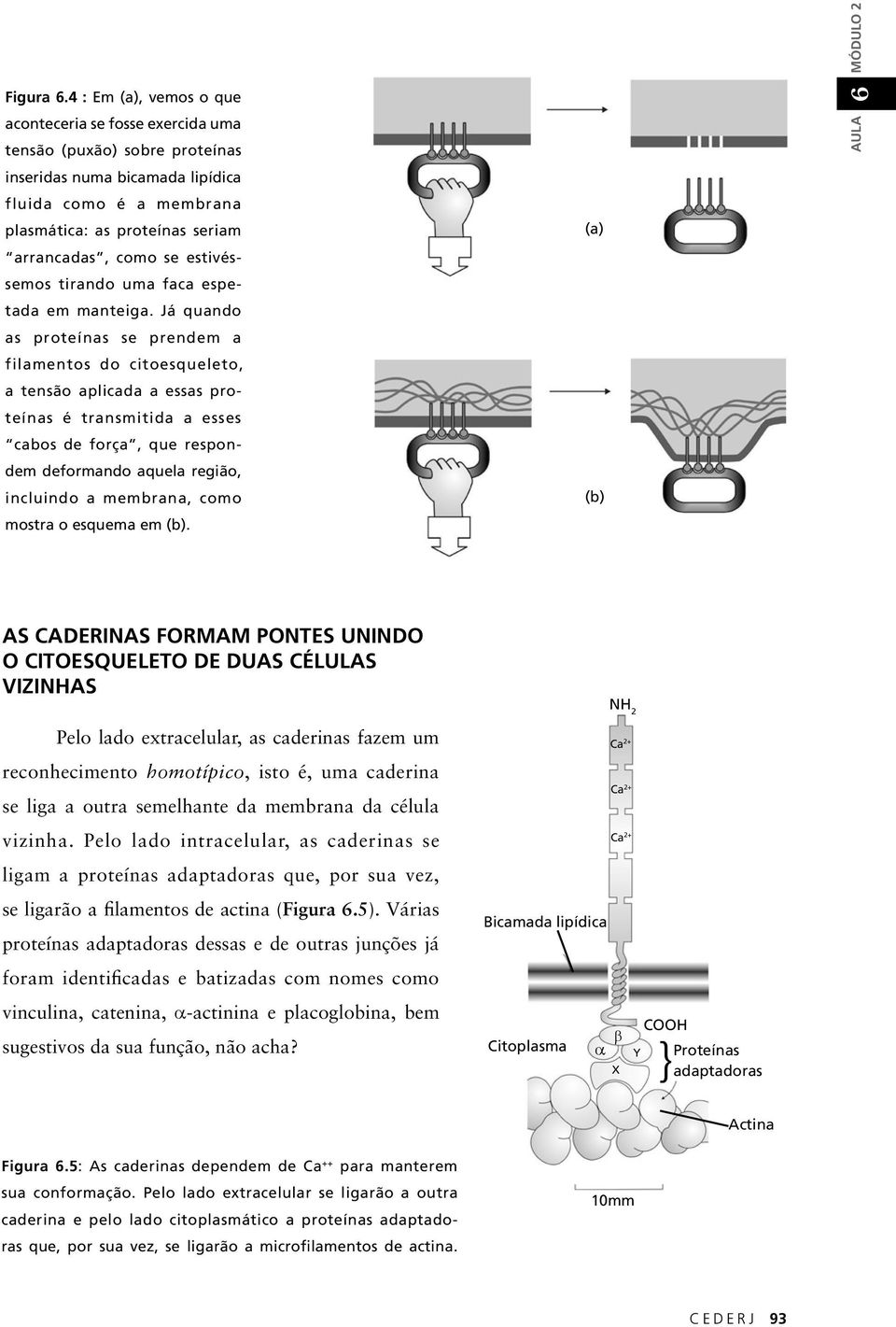 estivéssemos tirando uma faca espetada em manteiga.