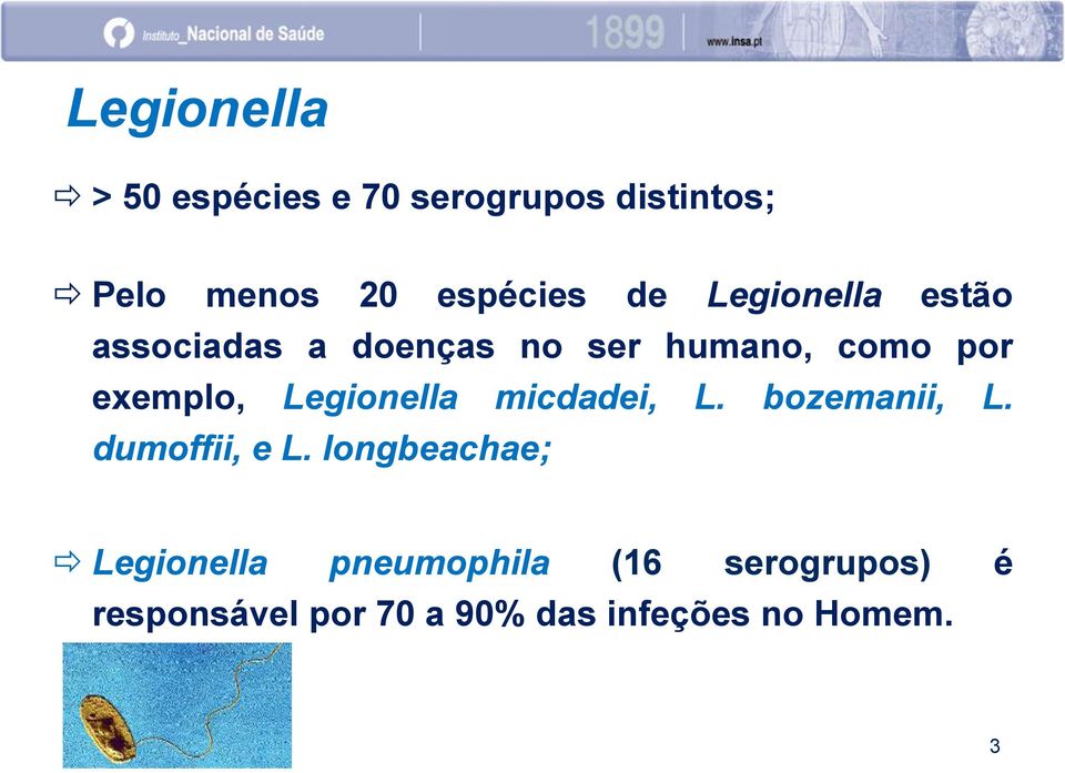 Legionella micdadei, L. bozemanii, L. dumoffii, e L.