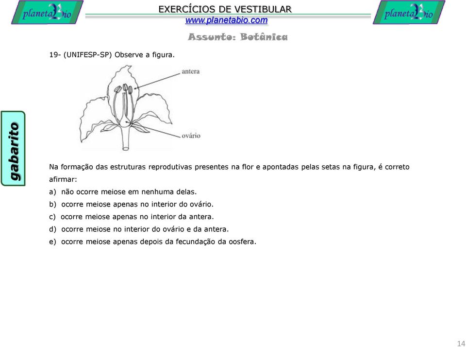 correto afirmar: a) não ocorre meiose em nenhuma delas.