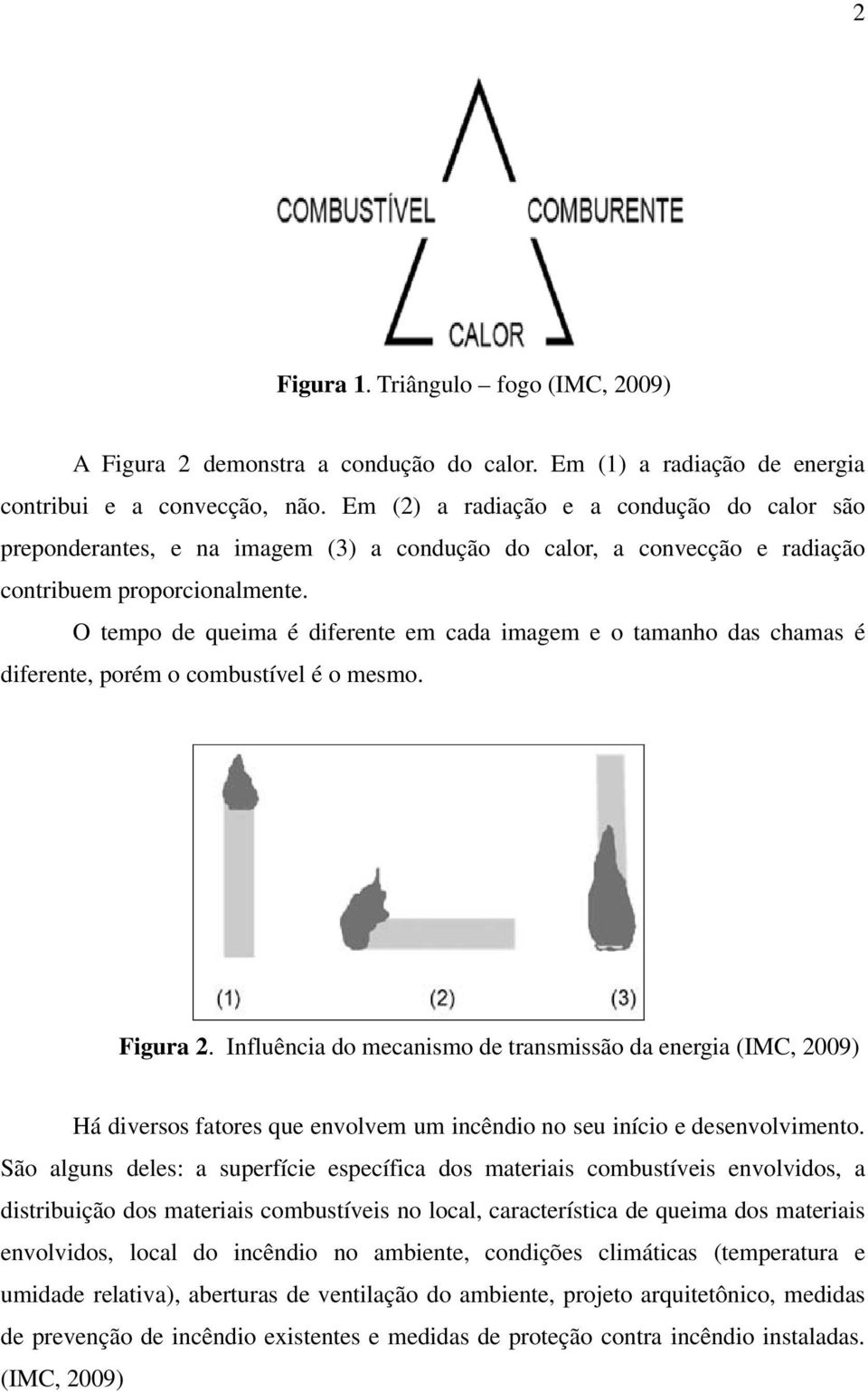 O tempo de queima é diferente em cada imagem e o tamanho das chamas é diferente, porém o combustível é o mesmo. Figura 2.