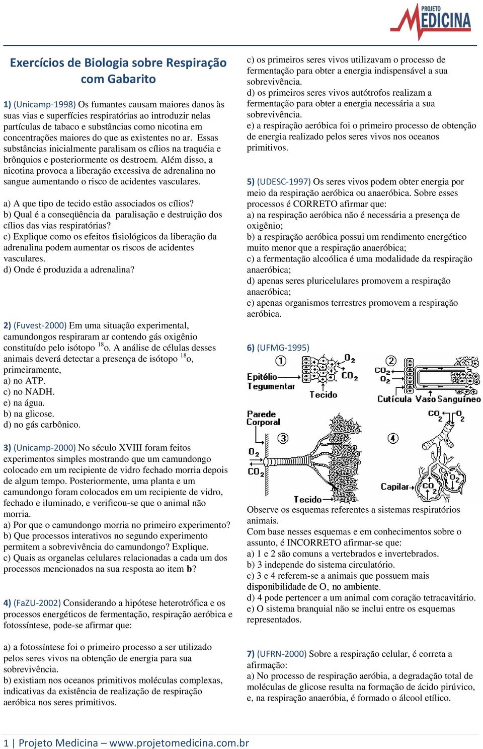 Além disso, a nicotina provoca a liberação excessiva de adrenalina no sangue aumentando o risco de acidentes vasculares. a) A que tipo de tecido estão associados os cílios?