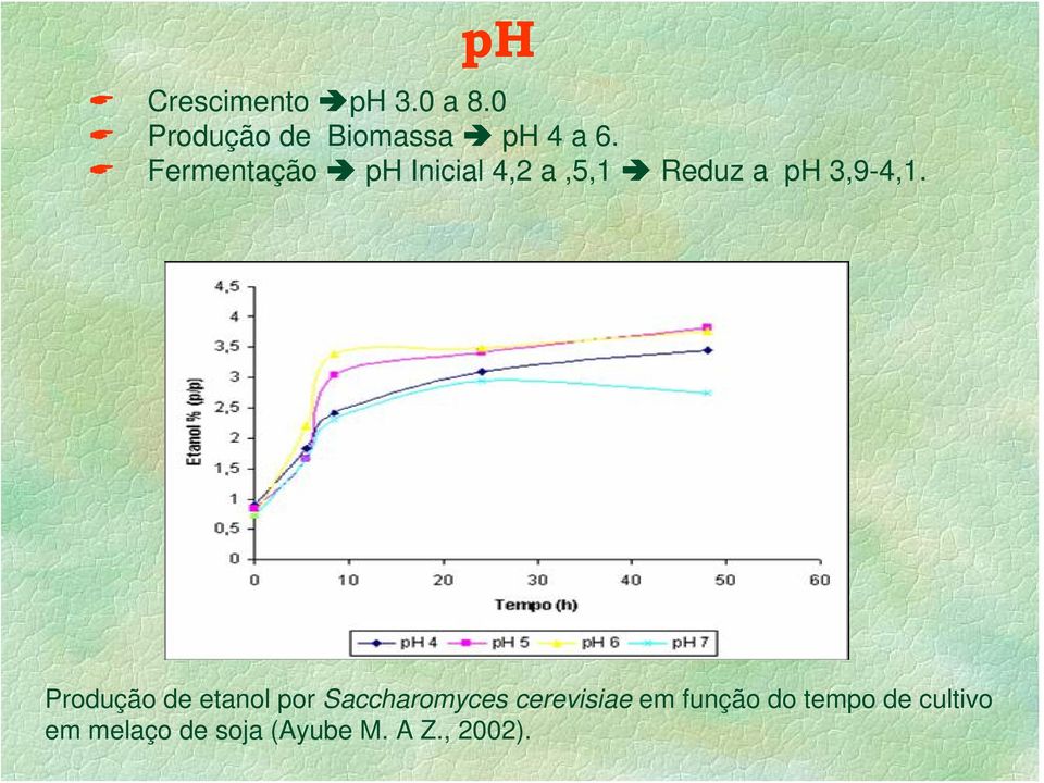 Produção de etanol por Saccharomyces cerevisiae em função