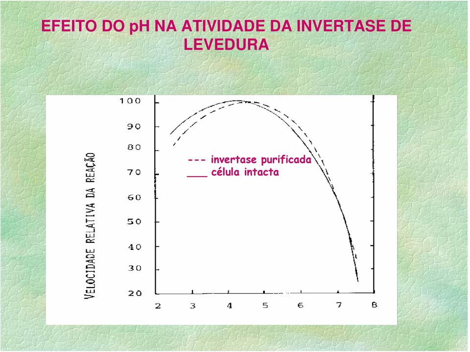 DE LEVEDURA ---