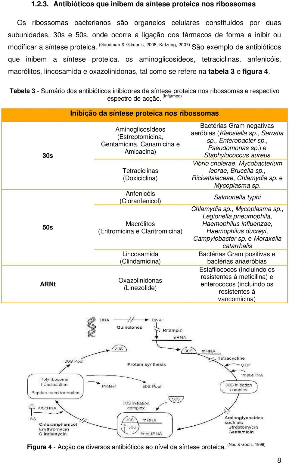 a inibir ou modificar a síntese proteica.