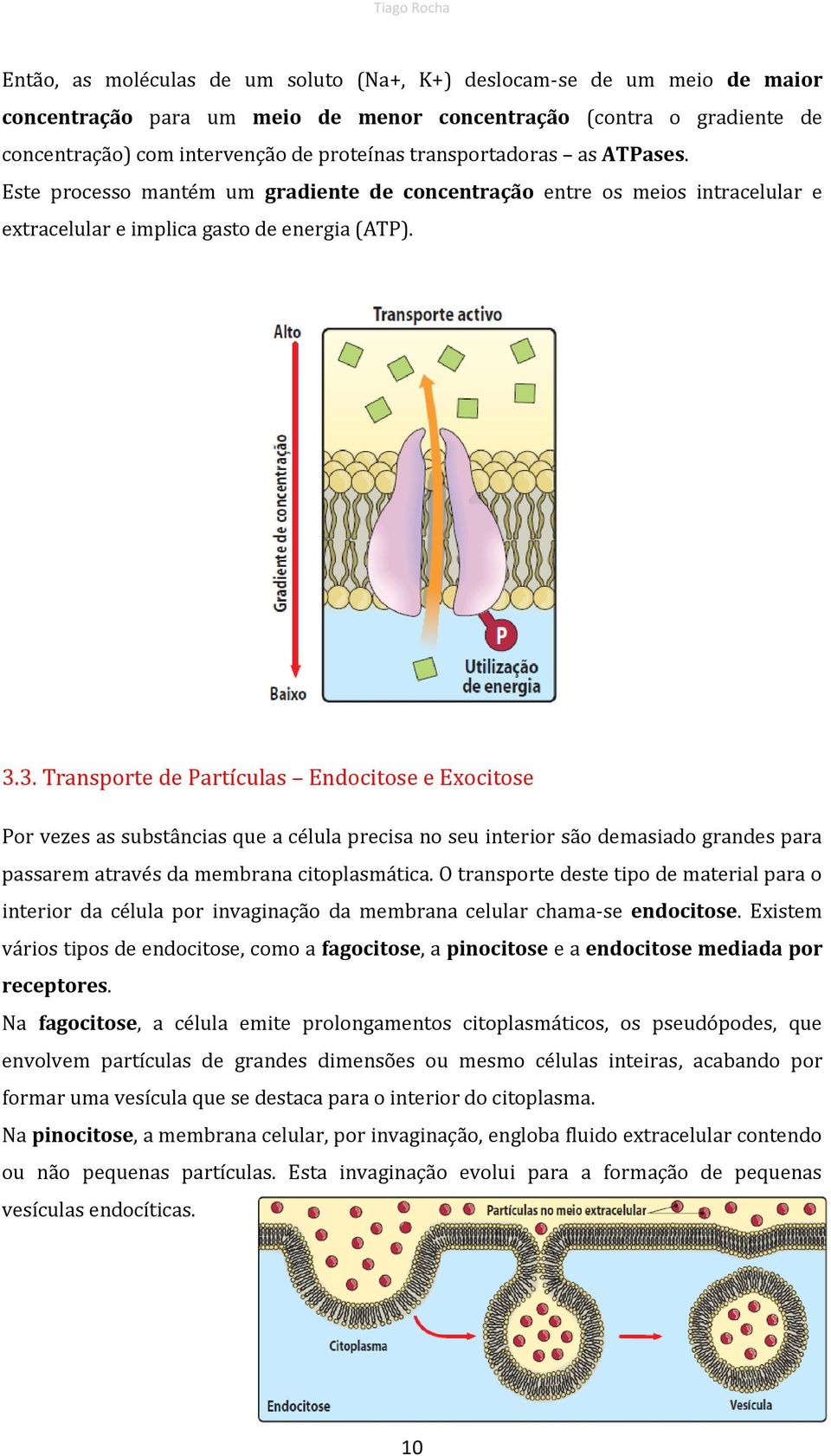 3. Transporte de Partículas Endocitose e Exocitose Por vezes as substâncias que a célula precisa no seu interior são demasiado grandes para passarem através da membrana citoplasmática.