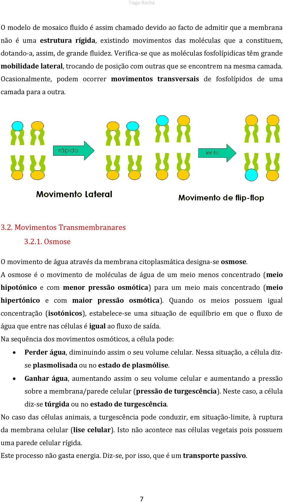 Ocasionalmente, podem ocorrer movimentos transversais de fosfolípidos de uma camada para a outra. 3.2. Movimentos Transmembranares 3.2.1.