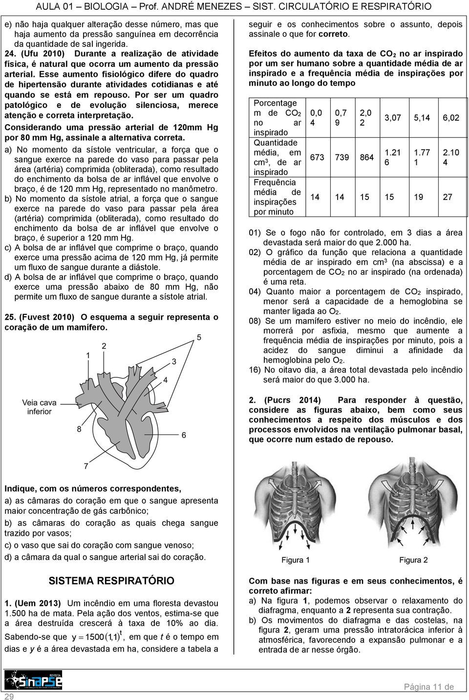 Esse aumento fisiológico difere do quadro de hipertensão durante atividades cotidianas e até quando se está em repouso.