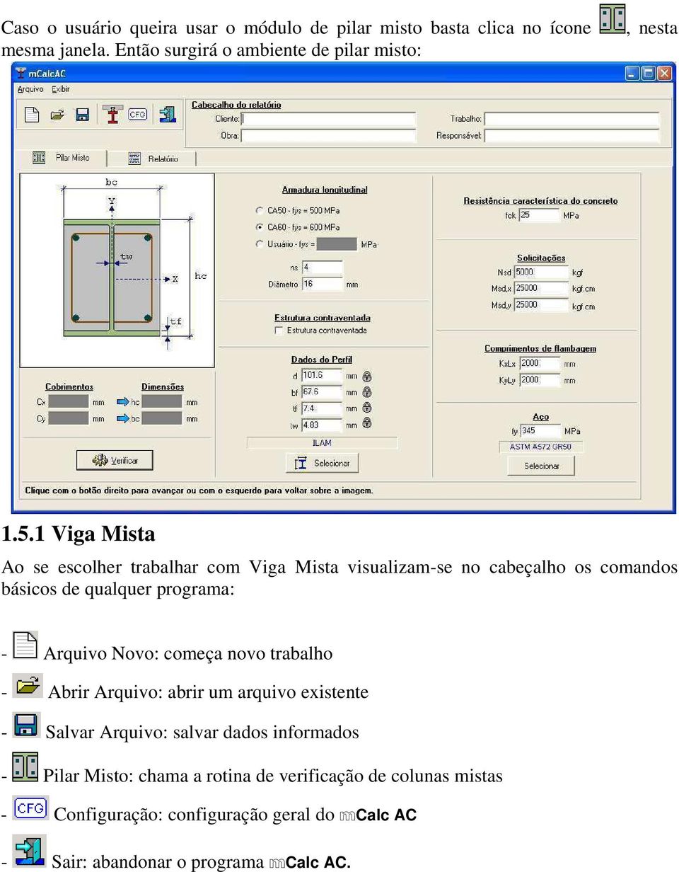 1 Viga Mista Ao se escolher trabalhar com Viga Mista visualizam-se no cabeçalho os comandos básicos de qualquer programa: - Arquivo