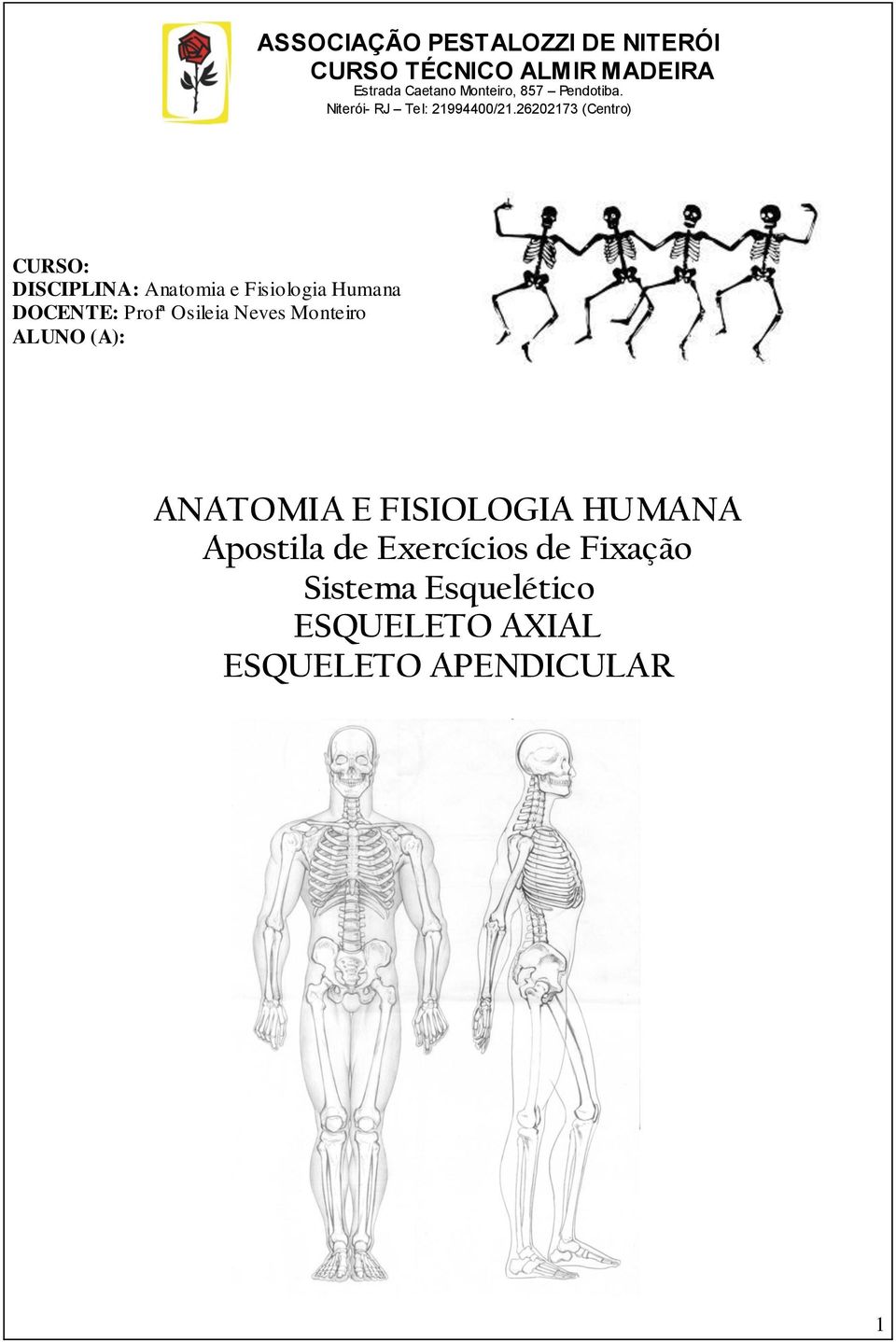 26202173 (Centro) CURSO: DISCIPLINA: Anatomia e Fisiologia Humana DOCENTE: Profª Osileia