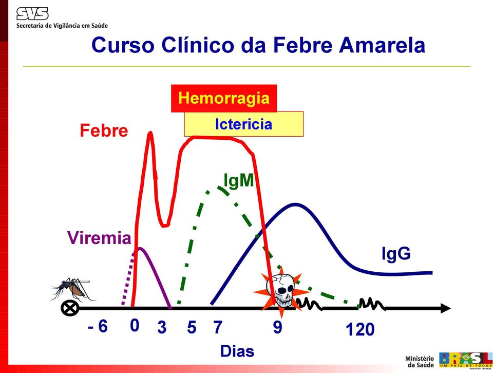 Ictericia Febre IgM