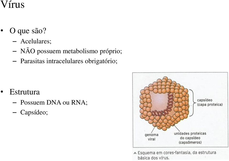 metabolismo próprio; Parasitas