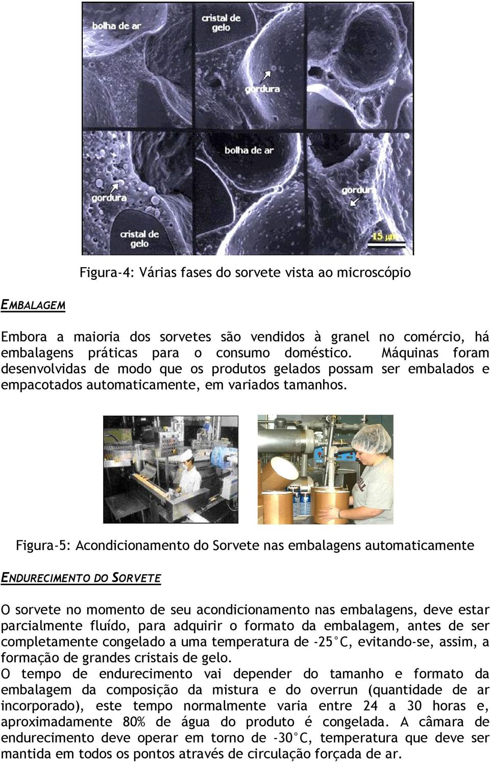 Figura-5: Acondicionamento do Sorvete nas embalagens automaticamente ENDURECIMENTO DO SORVETE O sorvete no momento de seu acondicionamento nas embalagens, deve estar parcialmente fluído, para