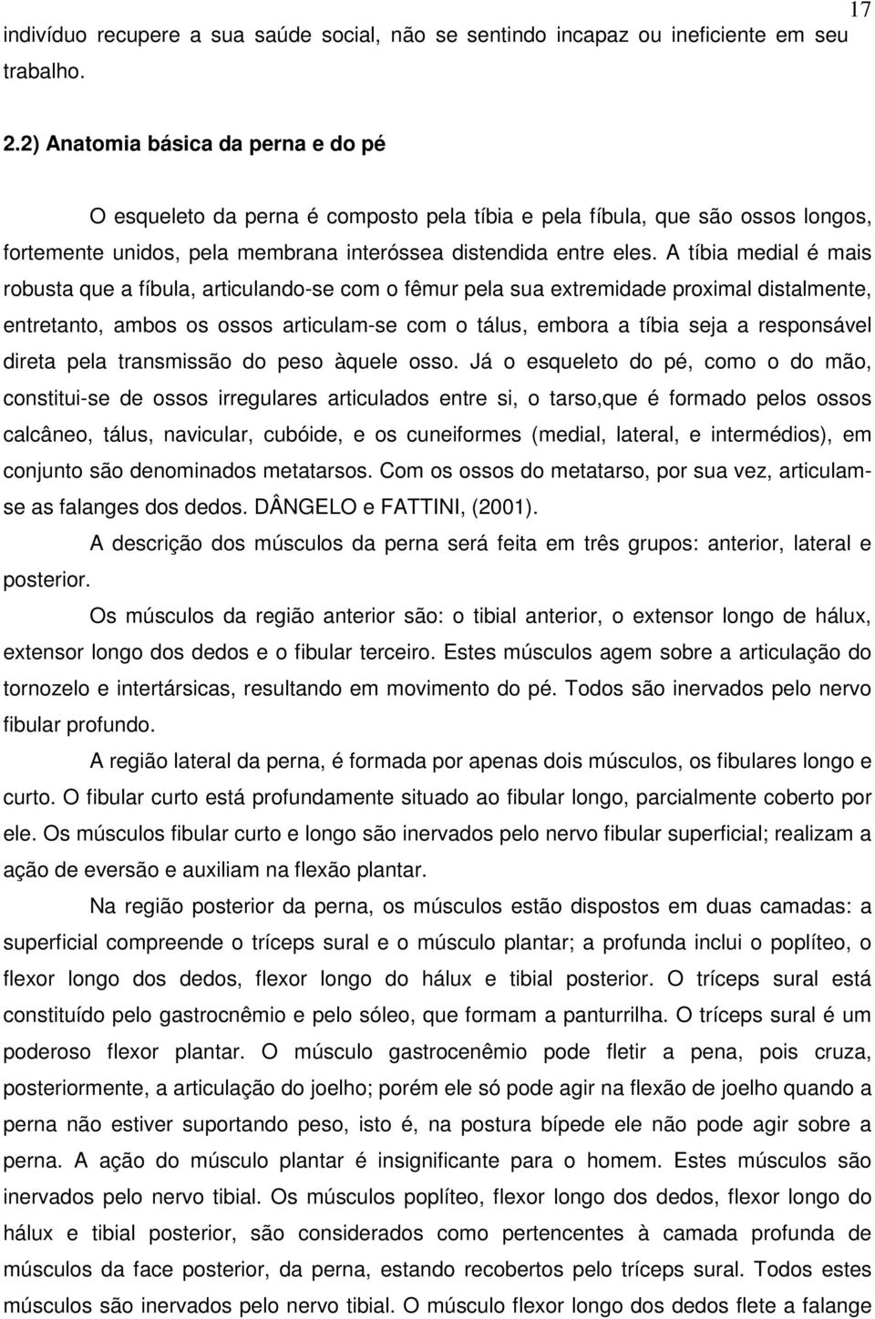 A tíbia medial é mais robusta que a fíbula, articulando-se com o fêmur pela sua extremidade proximal distalmente, entretanto, ambos os ossos articulam-se com o tálus, embora a tíbia seja a