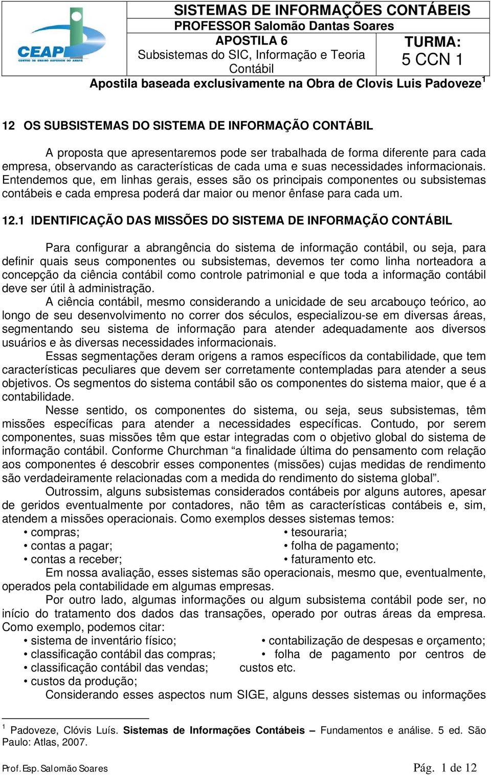 necessidades informacionais. Entendemos que, em linhas gerais, esses são os principais componentes ou subsistemas contábeis e cada empresa poderá dar maior ou menor ênfase para cada um. 12.