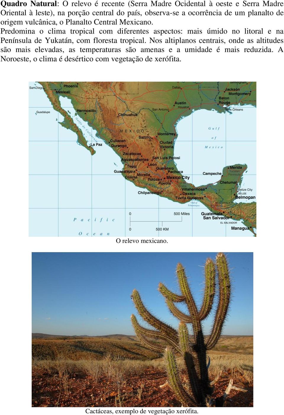 Predomina o clima tropical com diferentes aspectos: mais úmido no litoral e na Península de Yukatán, com floresta tropical.