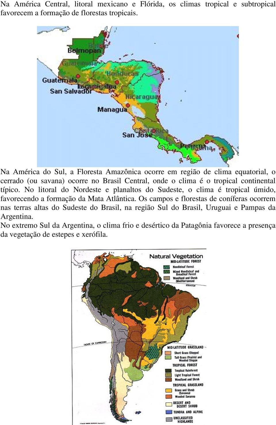 típico. No litoral do Nordeste e planaltos do Sudeste, o clima é tropical úmido, favorecendo a formação da Mata Atlântica.